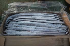 Manufacturers Exporters and Wholesale Suppliers of Frozen Ribbonfish Cochin Kerala